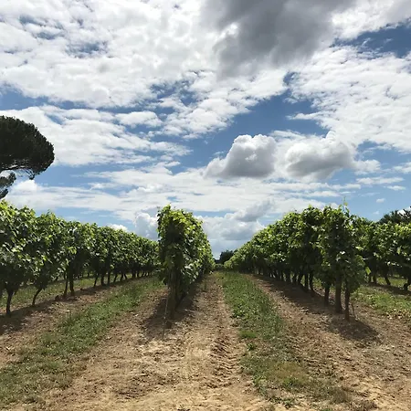 Maison Ancienne Avec Piscine Au Milieu Des Vignes *
