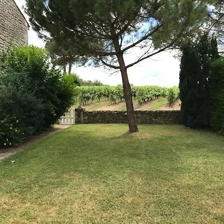 Maison Ancienne Avec Piscine Au Milieu Des Vignes