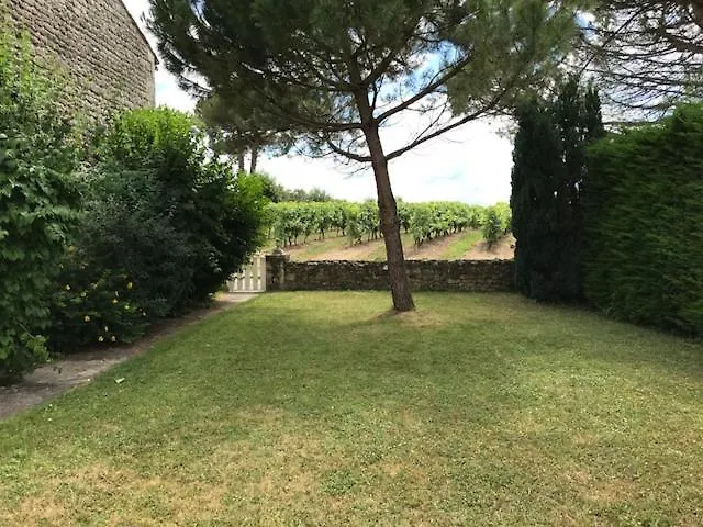 Maison Ancienne Avec Piscine Au Milieu Des Vignes